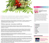 статья о черноплодной и красноплодной рябине с ключами