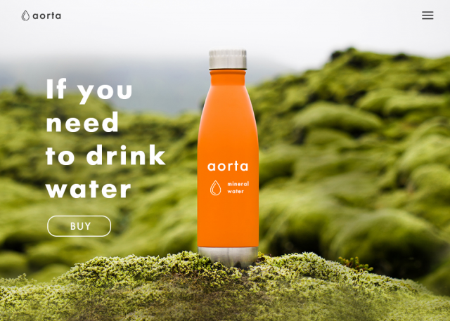 aorta