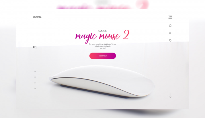 Magic Mouse 2
