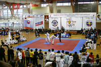 III Открытый Чемпионат России по таэквон-до 2010