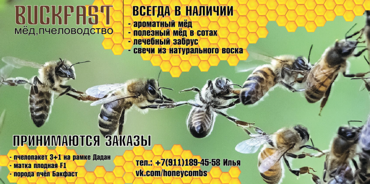 Баннер