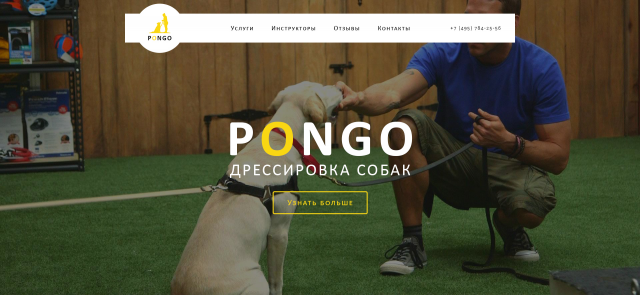 "PONGO" Дрессировка собак