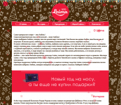 Новогодний промо Laima