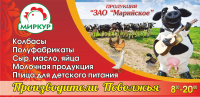 Баннер магазина "Домашний"