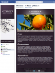 FanPage на Facebook "Attirance"