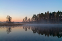 Работа 2781363