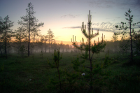 Работа 2781362