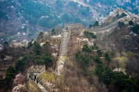 Работа 2781360