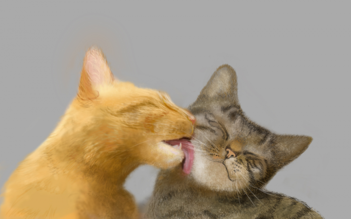 Рисунок котиков Adobe-Photoshop