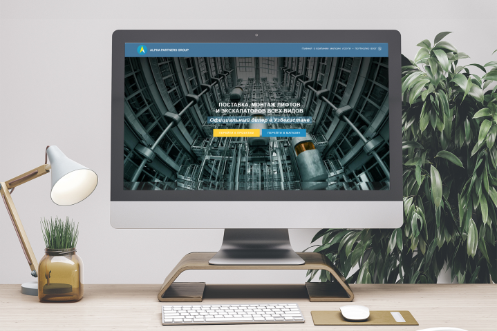 ALPHA PARTNERS GROUP