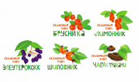 графика для серии напитков