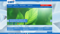 CENTER OF MOLECULAR RESEARCH