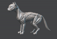 cat speedsculpt