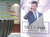 Роллап для MICE&more