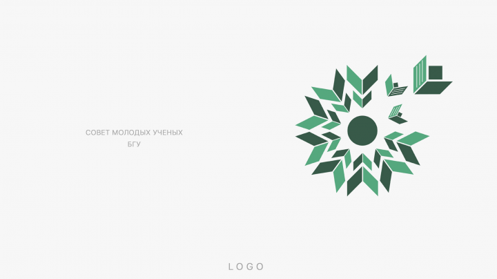 Совет молодых ученых БГУ