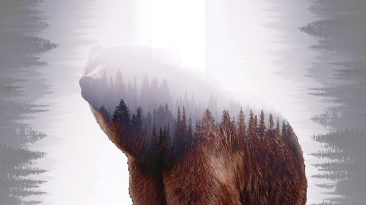 Эффект двойной экспозиции "Медведь&Лес"