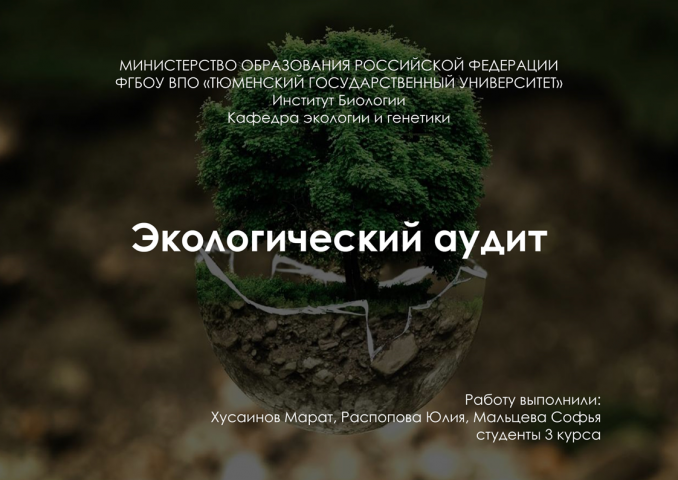 Экологический аудит