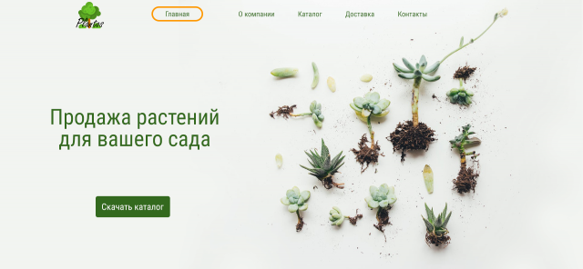 Продажа растений