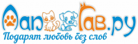 Нейм для зоомагазина (щенки и котята)