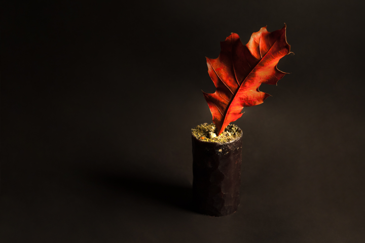 Работа 3588047