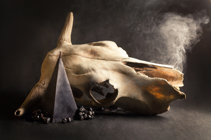 Работа 3588027