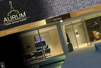 Aurum. Интернет-магазин. 2012 год.