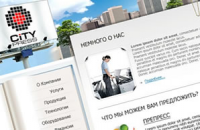 City Press. 2010 год.