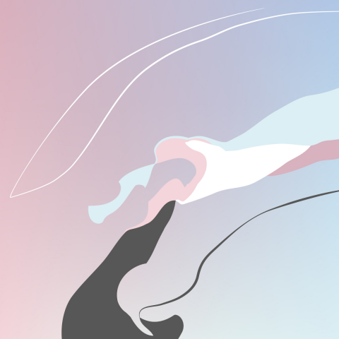 Vector Art