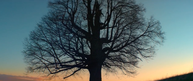 Uman - Trailer