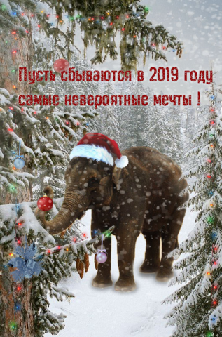 Работа 3631392