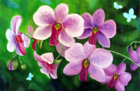 Орхидеи (акрил). Картина на заказ.