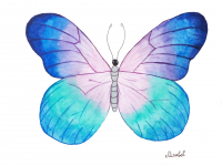 Бабочка (акварель)