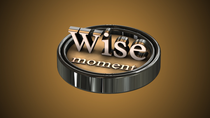 Логотип для wise_moment