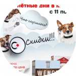 Плакат А4. Скидки