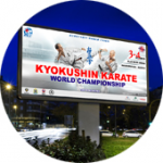 Чемпионат Мира по Киокусинкай Каратэ. Хабаровск 3-4 Октября 2015