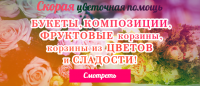 Работа 2654332