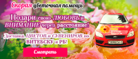 Работа 2654330