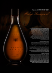 Рекламный модуль. Коньяк «Baron OTARD»