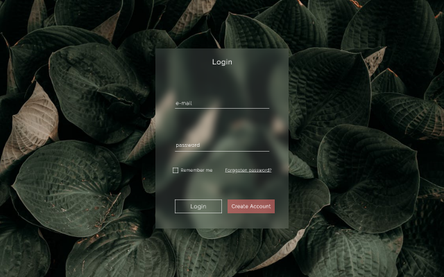 Login 1