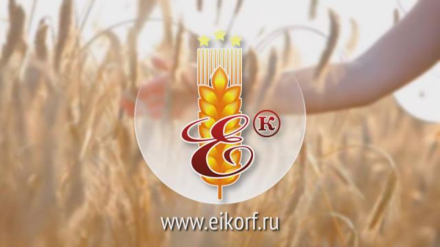 Emelianov & K, Ltd. Корпоративный ролик на английском языке