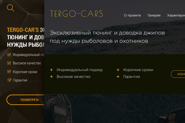 Редизайн TERGO-CARS