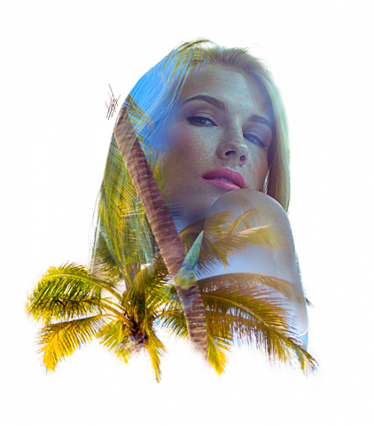 Работа 3595321