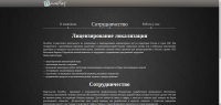 Лэндинг компании "NovoPlay"