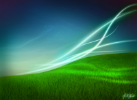 Field