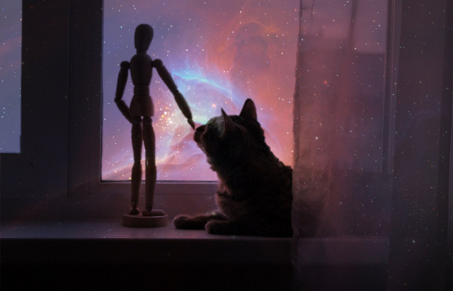 Любительский коллаж