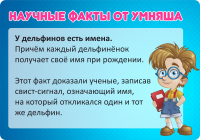Фирменный пост для соцсетей