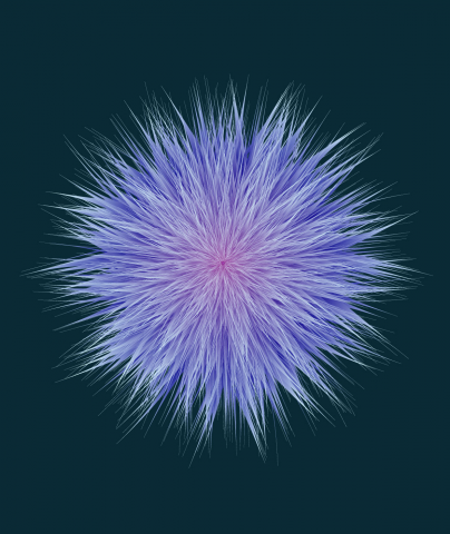 Flower illustration