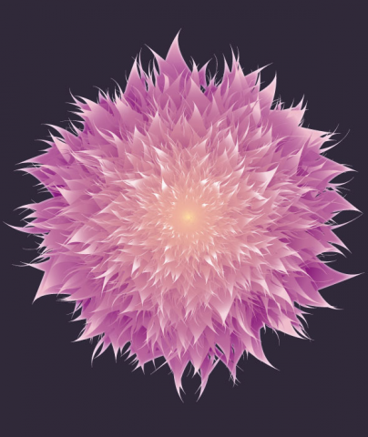 Flower illustration