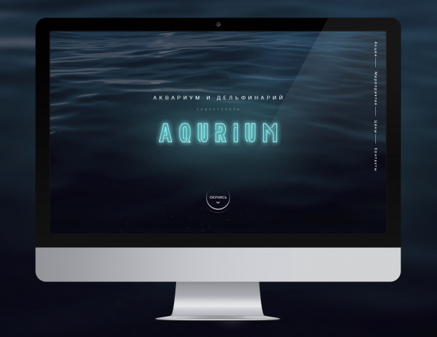 Аквариум и дельфинарий