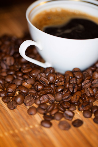 Предметная фотосъемка